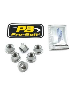 Tuercas de corona en titanio PRO BOLT TI6SPN10