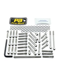 Kit de tornillería de motor en acero inox. para KTM PRO BOLT EKTM510SS