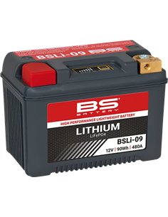 Batería de Litio LiFePO4 BS BATTERY 360119