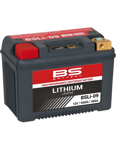 Batería de Litio LiFePO4 BS BATTERY 360119