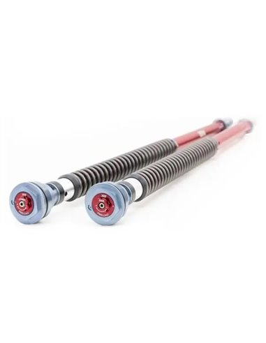 KIT DE CARTUCHO 880 MM YSS CO208-880TRC-02