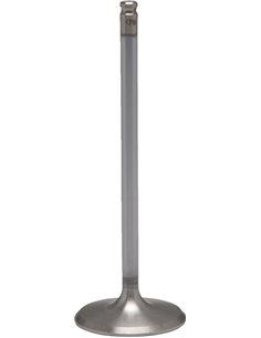 Válvula de motor White Diamond® KIBBLEWHITE 30-33812H