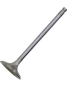 Válvula de motor White Diamond® KIBBLEWHITE 30-33816K