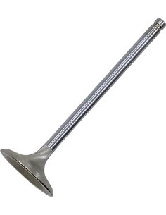 Válvula de motor White Diamond® KIBBLEWHITE 30-33817K