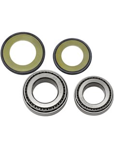 Kit de rodamientos cónicos y retenes para eje de dirección ALL BALLS 22-1020