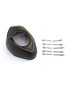 Tapa final AKRAPOVIC V-EC290