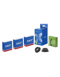 Kit de rodamientos de rueda HDS con retenes y separadores SKF VKWB-R-25-HD-F