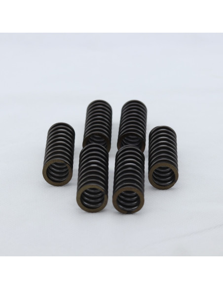 Kit muelles embrague 18483