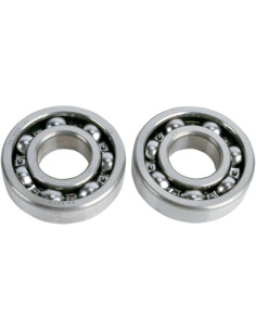 Kit cojinetes y retenes ciguenal HOT RODS YAMAHA YFM 250 RAPTOR 08-13