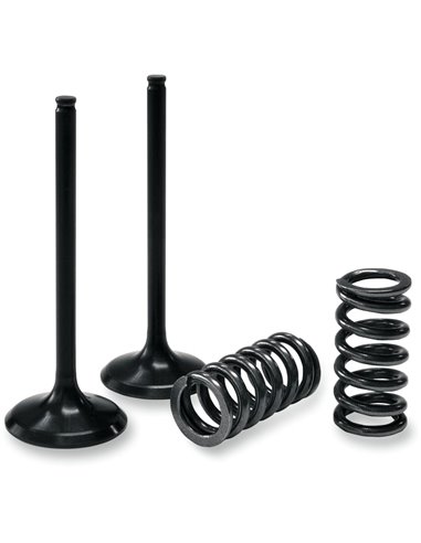 Kit Valvulas LTR 450
