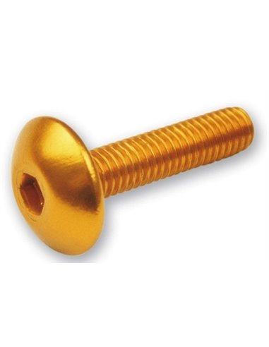 Kit 6 tornillos allen M6X20 ORO