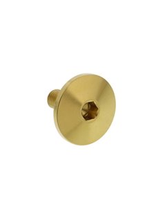 Tornillo tapa valvulas dorado LTZ 400 DVX 400 KFX 400