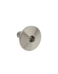 Tornillo tapa valvulas plateado LTZ 400 DVX 400 KFX 400