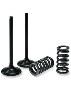Kit 5 Valvulas Bronco YFZ 450