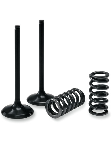 Kit 5 Valvulas Bronco YFZ 450