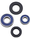 Wheel Bearing & Seal Kit ALL BALLS - MOOSE 25-1500