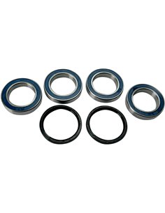 Kit de rolamentos de roda ALL BALLS - MOOSE 25-1534