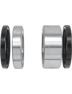 Rear Wheel Bearing Upgrade Kit. Fits stock carrier. No. 25-1616.