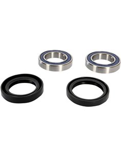 Wheel Bearing Kit ALL BALLS - MOOSE 25-1661