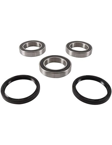 Kit cojinetes y retenes buje trasero PIVOT WORKS LTZ 400 +09