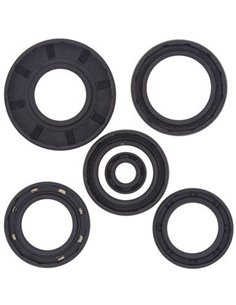 Kit retenes motor Suzuki LTZ 400 09-14