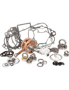 Kit reparacion completo motor WRENCH RABBIT TRX 400 99-04
