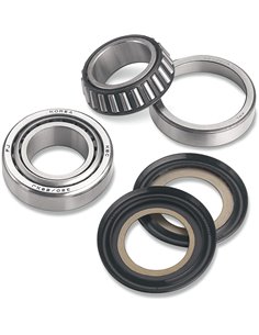Steering Bearing & Seal Kit ALL BALLS - MOOSE 22-1013