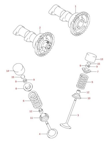Junta aceite valvulas original Suzuki LTR 450 (n12)