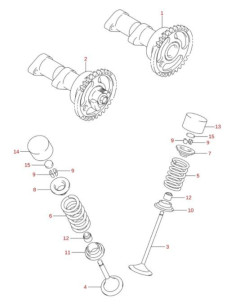 Vaso valvula escape original Suzuki LTR 450 (n14)