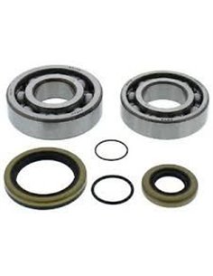 Kit cojinetes y retenes ciguenal ALLBALLS 24-1118 GASGAS EC / XC 200 250 300 MC 250  Enduro GP 250 300