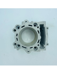 Cubierta termostato original Yamaha YFM 700 RAPTOR (n2)