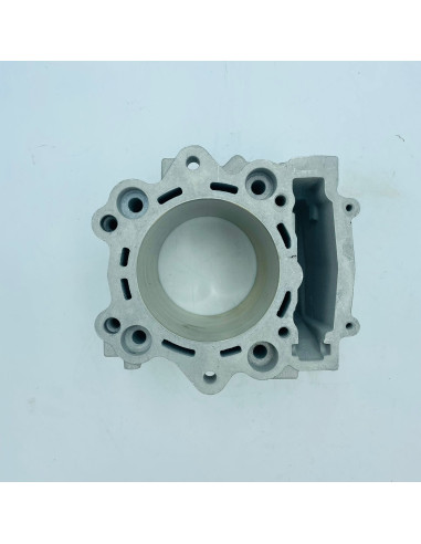 Cubierta termostato original Yamaha YFM 700 RAPTOR (n2)