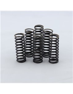 Kit muelles embrague PROX Suzuki DRZ 400 00-23 LTZ 400 03-14