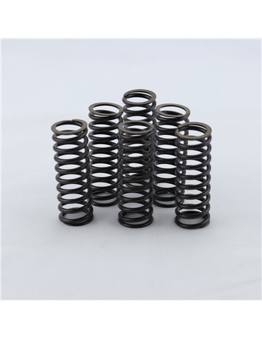Kit muelles embrague PROX Suzuki DRZ 400 00-23 LTZ 400 03-14