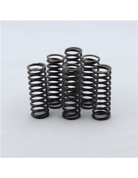 Kit muelles embrague PROX Suzuki DRZ 400 00-23 LTZ 400 03-14