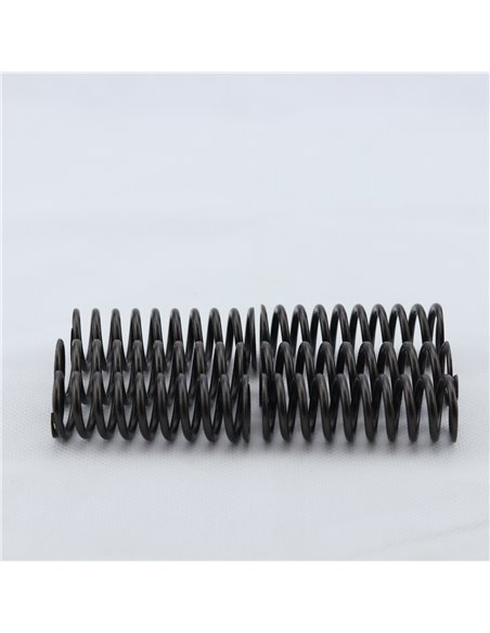 Kit muelles embrague PROX Suzuki DRZ 400 00-23 LTZ 400 03-14
