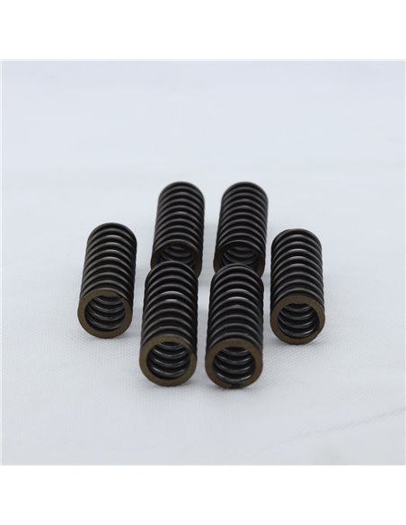Kit muelles embrague PROX Suzuki DRZ 400 00-23 LTZ 400 03-14