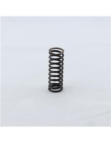 Kit muelles embrague PROX Suzuki DRZ 400 00-23 LTZ 400 03-14