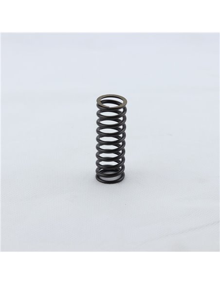Kit muelles embrague PROX Suzuki DRZ 400 00-23 LTZ 400 03-14