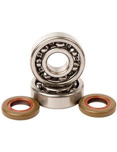 Kit cojinetes y retenes cigueñal HOT RODS KTM SX 65 98-08