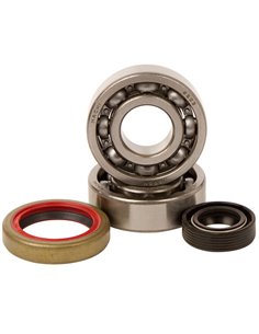 Kit cojinetes y retenes cigueñal HOT RODS KTM SX 50 09-12