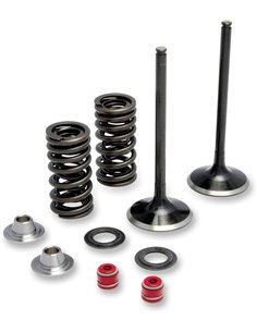 Crf250 Moose Racing Hp M30-31760 Kit de ressort et soupape d'admission en acier inoxydable