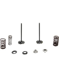 Kit de muelle y válvula de admisión de acero inoxidable 250Sx-F Moose Racing Hp M96-96480