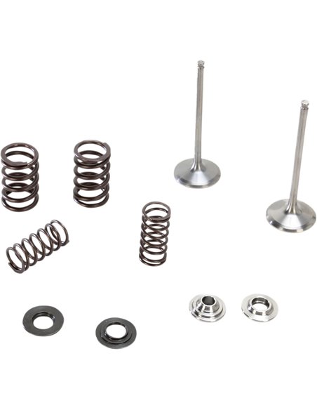 Dans Yz250F Ti Moose Racing Hp M80-80970 Kit de soupape d'admission et de ressort en acier inoxydable