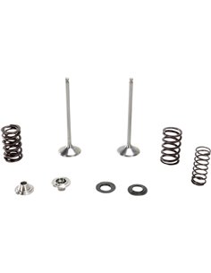 Stainless Steel Ex Yz250F Ti Moose Racing Hp M80-80980 Intake Valve & Spring Kit