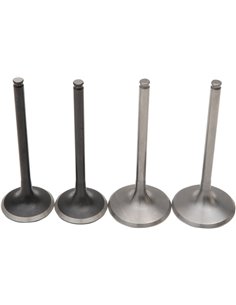 Kit ressort et soupape d'admission en acier inoxydable Pro Trx450X Moose Racing Hp M30-32305