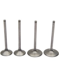 Kit de muelle y válvula de admisión de acero inoxidable Pro Ktm450 Moose Racing Hp M96-96510