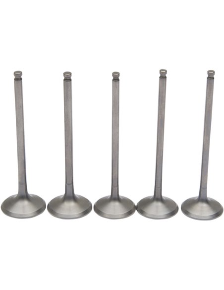 Kit de moll i vàlvula d'admissió d'acer inoxidable Pro Yz250F Moose Racing Hp M80-81070