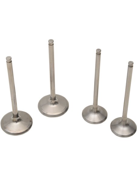 Pro Yz250F Moose Racing Hp M80-81090 Stainless Steel Intake Valve & Spring Kit