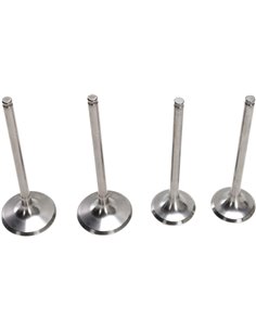 Stainless Steel Pro Crf250R Moose Racing Hp M30-32315 Intake Valve & Spring Kit